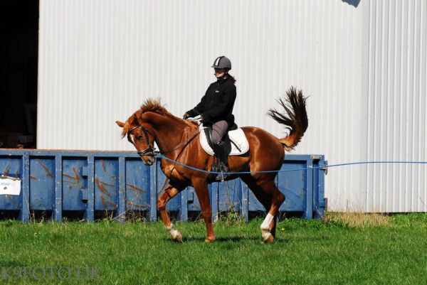 Billede