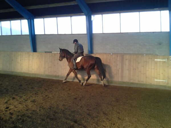 Billede