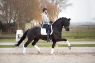 Billede