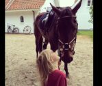Billede