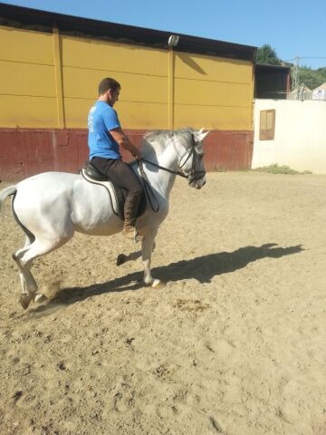 Billede