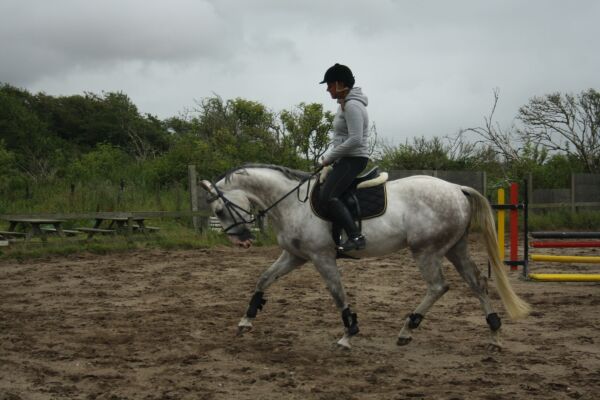 Billede
