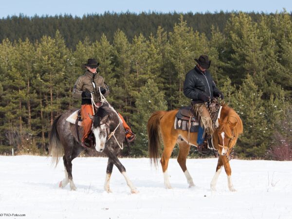 Billede