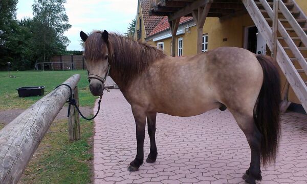 Billede
