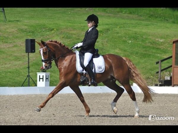 Billede