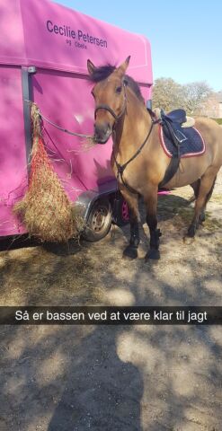 Billede