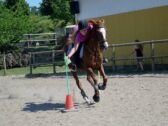 Billede