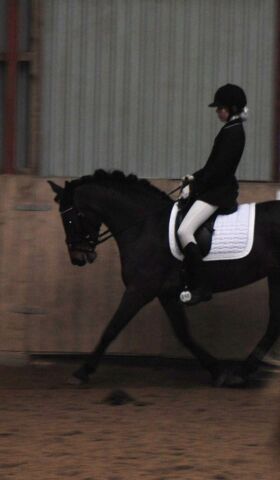Billede