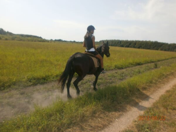 Billede