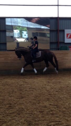 Billede