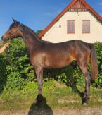 Billede