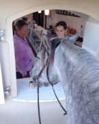 Billede