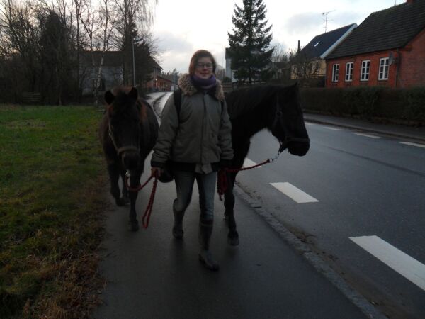 Billede