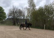Billede
