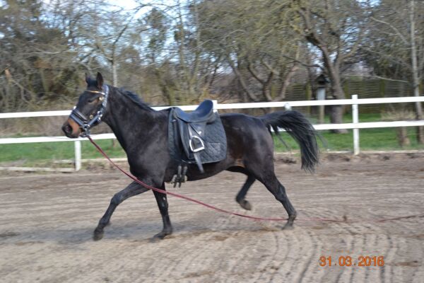Billede