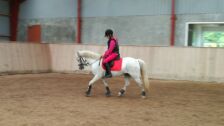 Billede