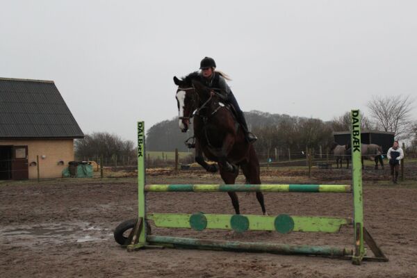 Billede